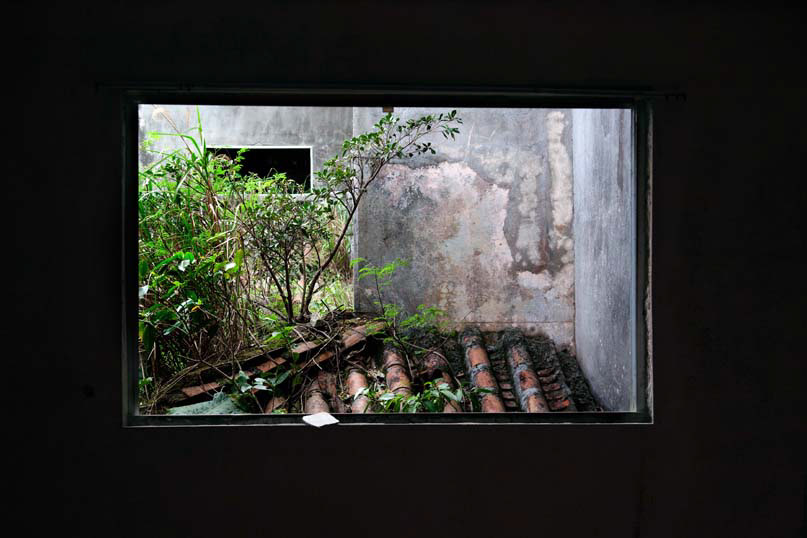 Island 2, 2011