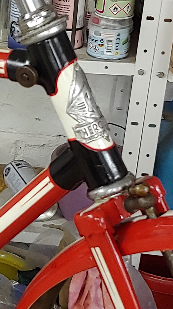 Steuerkopflogo poliert