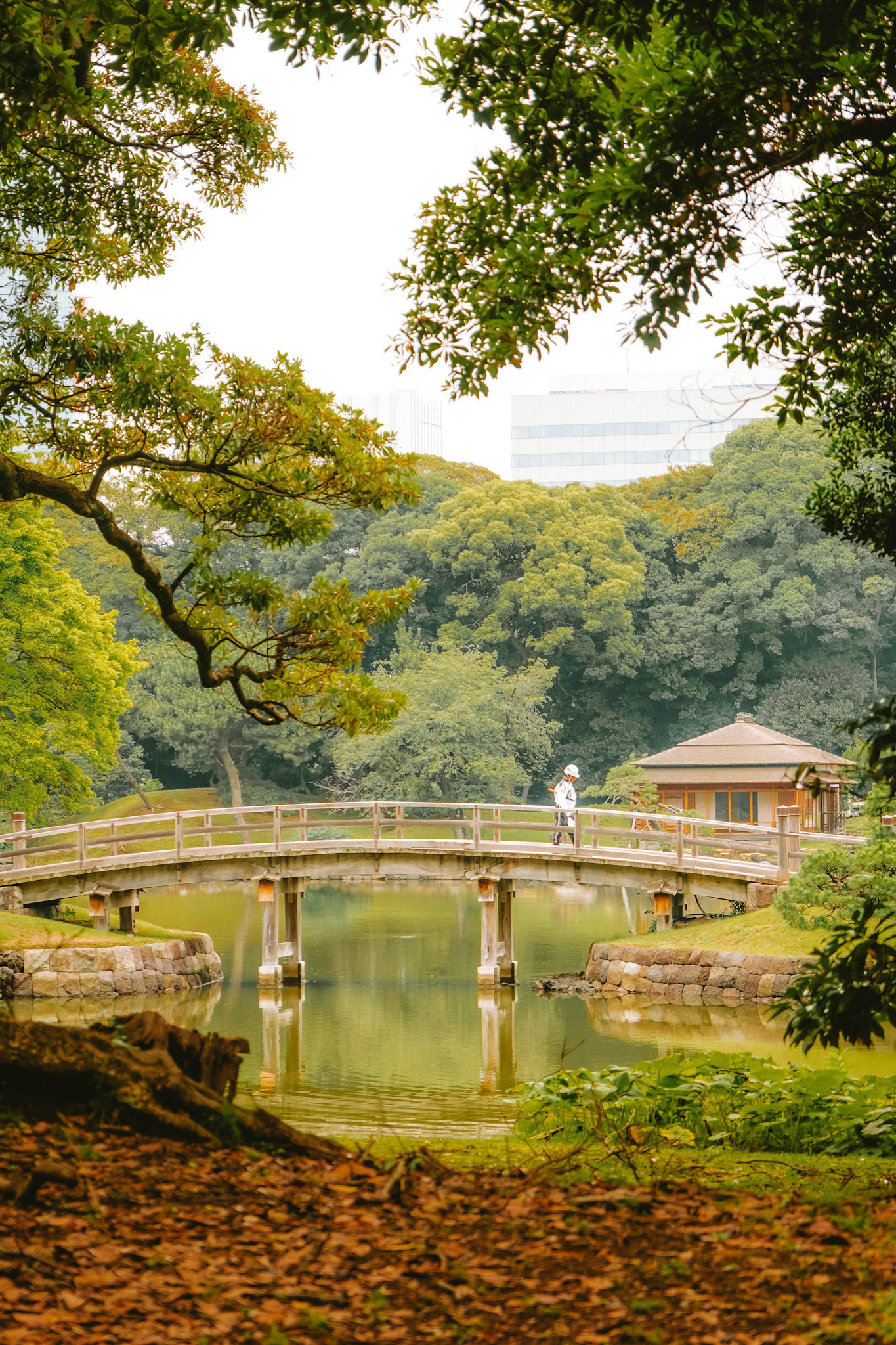 A still man, crosses a bridge, as old as time
