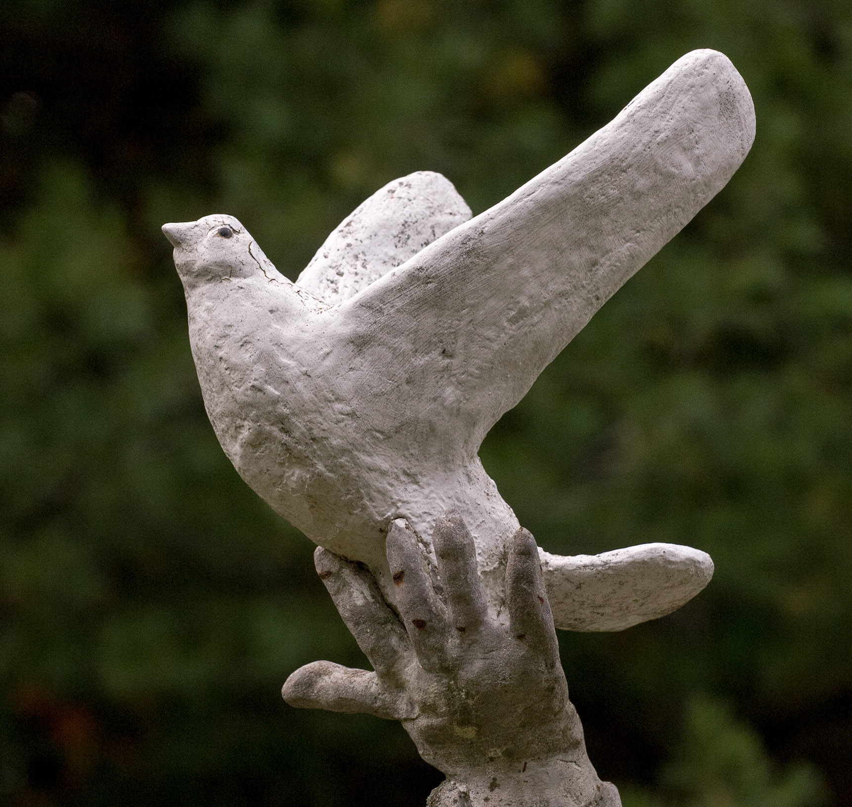 Dove Sculpture in Cemetary