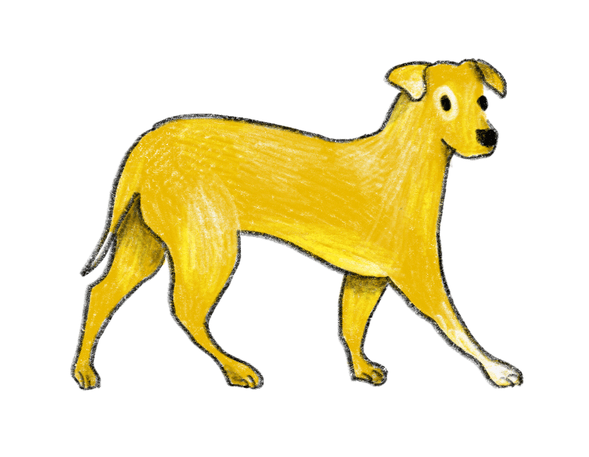 Gelber Hund