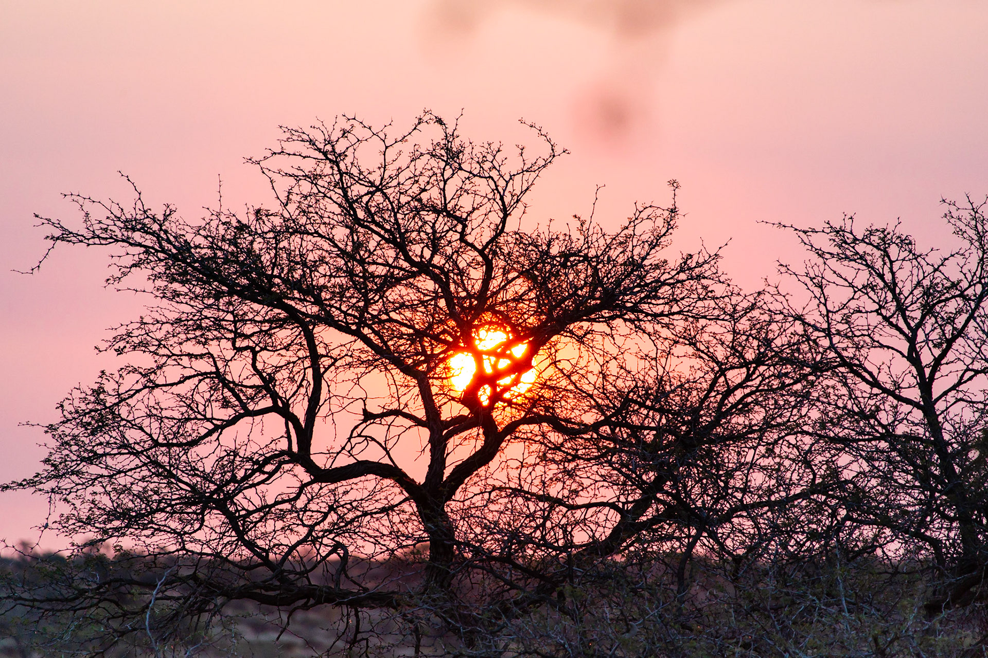 Sunset on our last day in Namibia 2018 #namibia #sunset #kalahari #sehnsucht #sun #redcolor #sand #desert