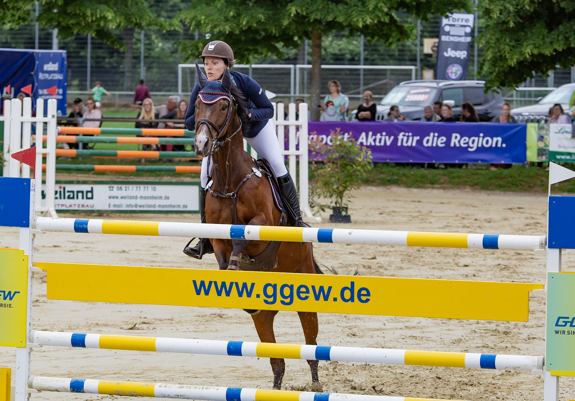 RFV Schwanheim Springen S-Stechen Mai 2018