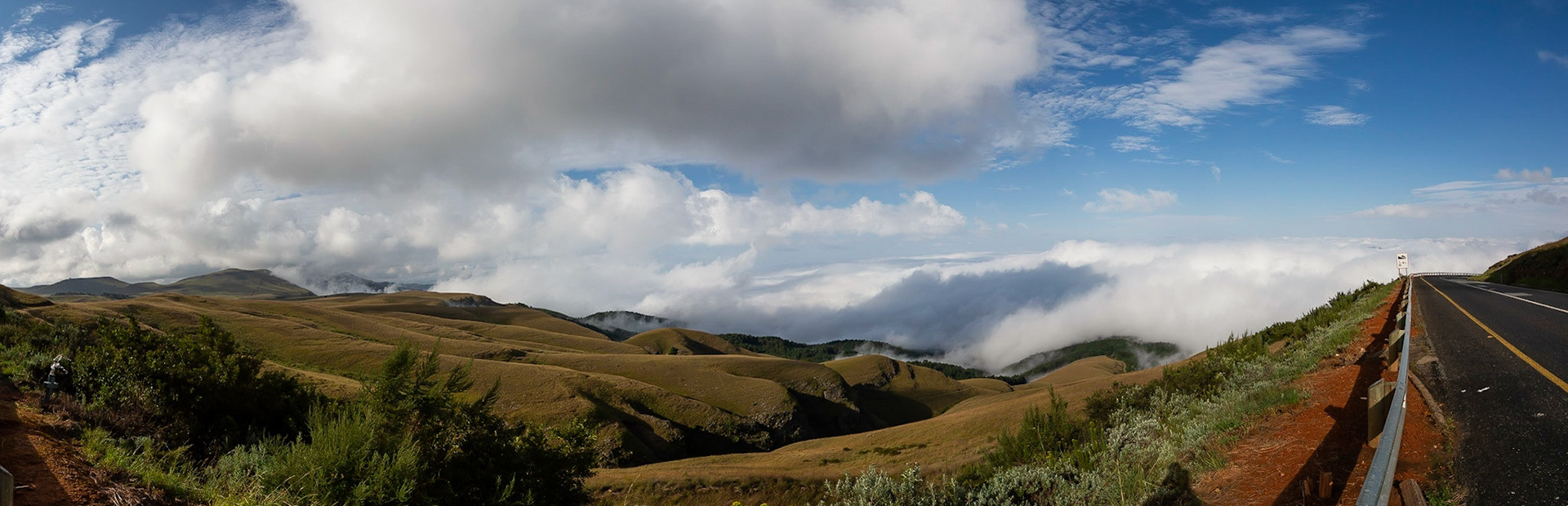 "Over the Clouds" On Top of the Long Tom Pass