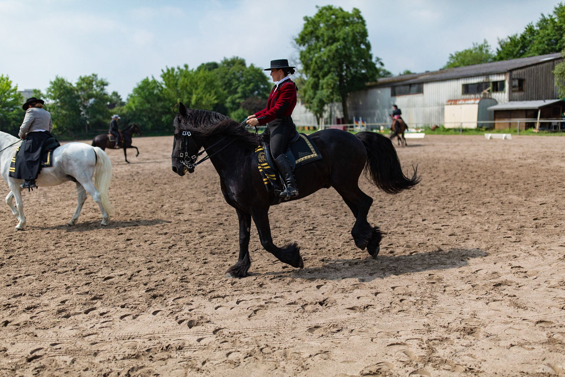 Iberische Reiter Kaltblutschau Heppenheim