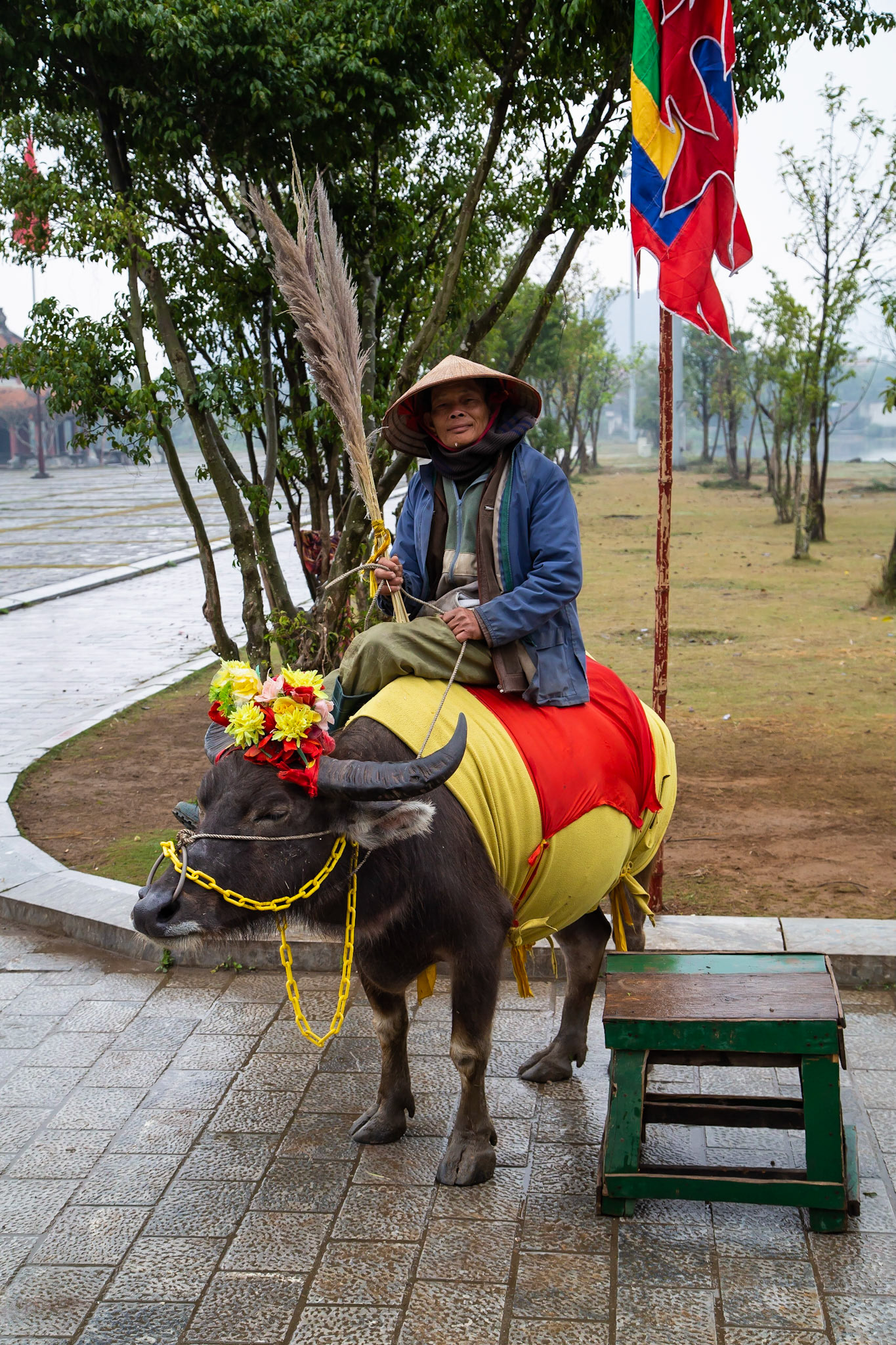 Like to take a picture on a bull ? He is waiting for you....