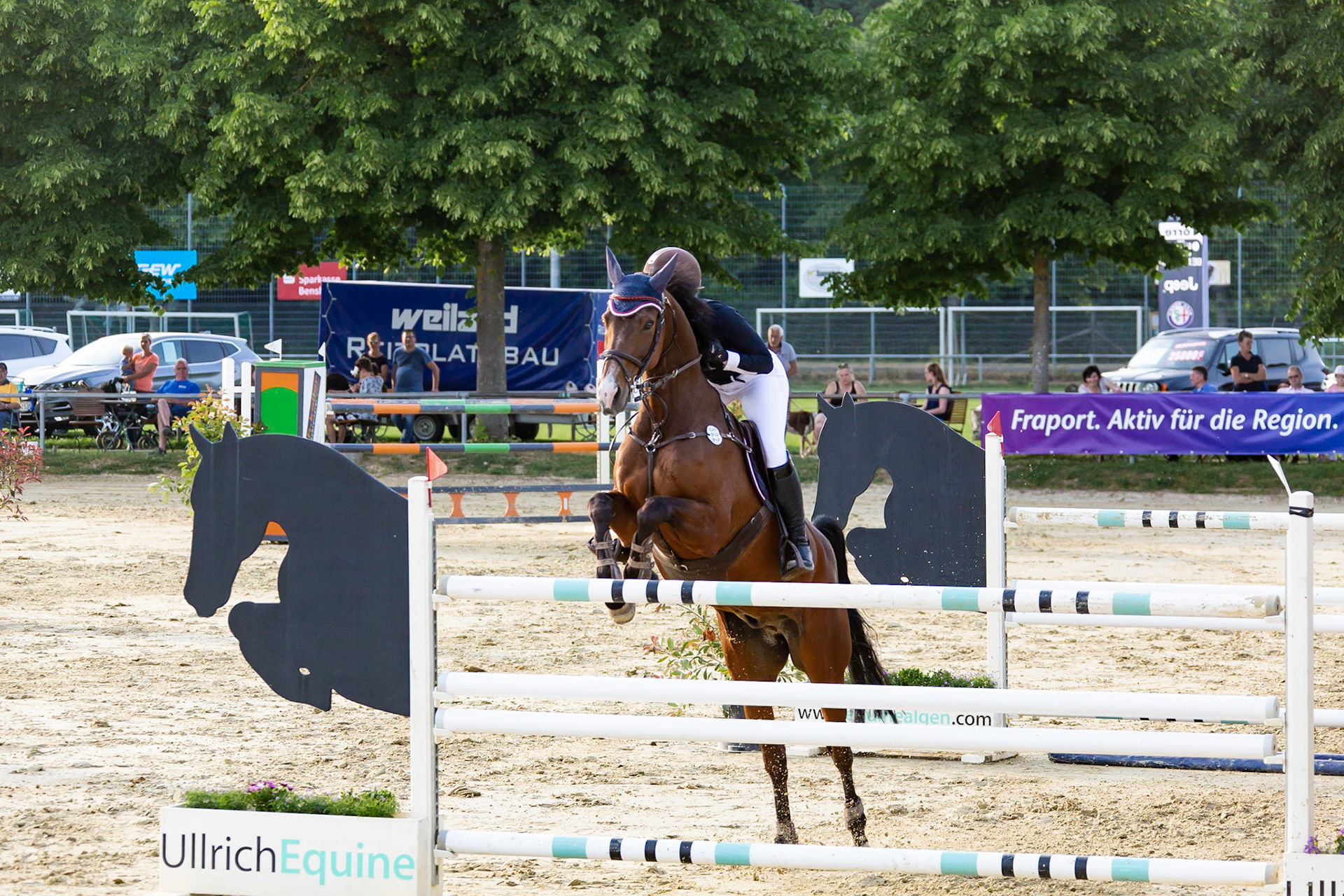 RFV Schwanheim Springen S Mai 2018