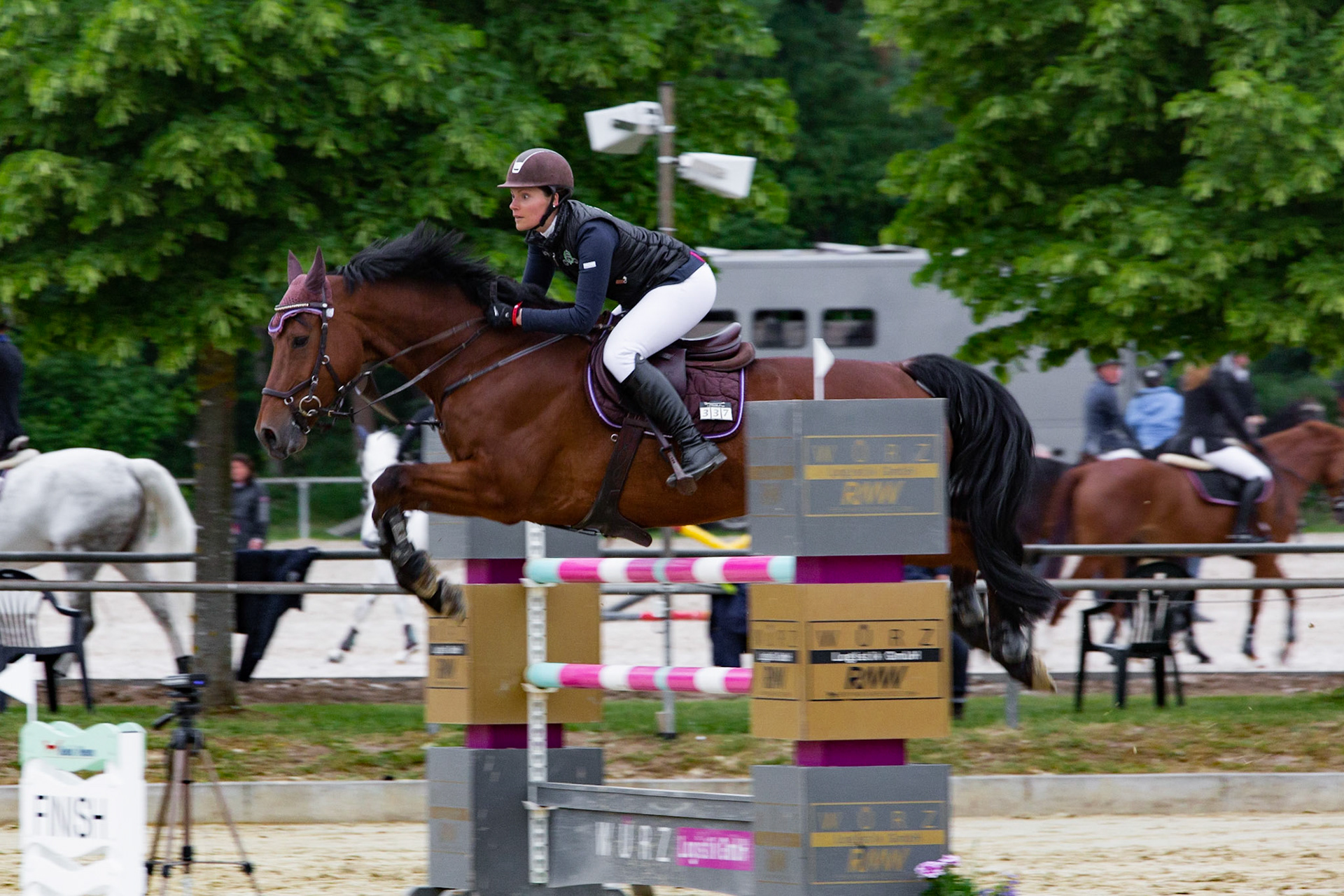 RFV Schwanheim Springen M Mai 2018