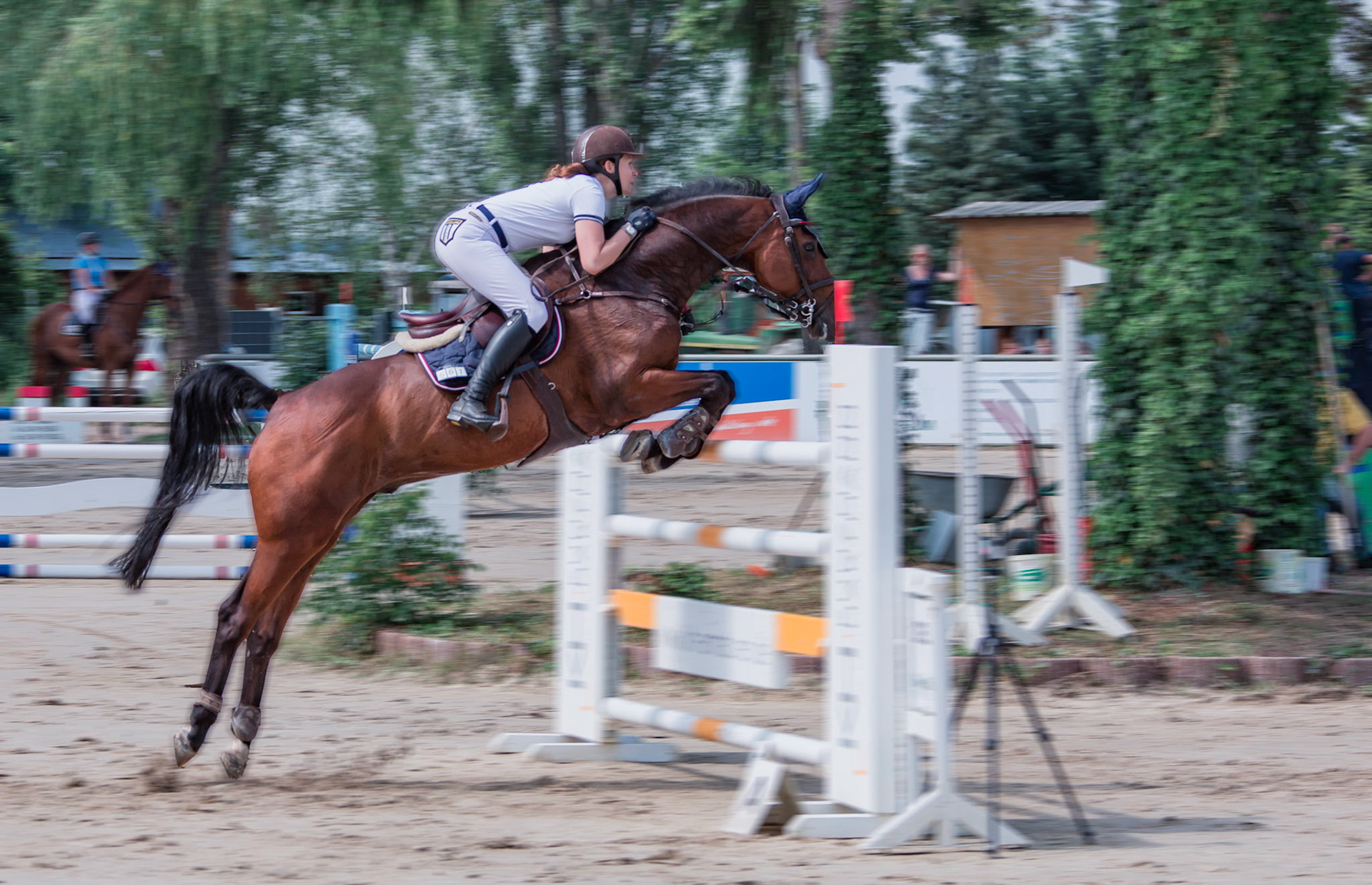 #ludi #2016  #viernheim