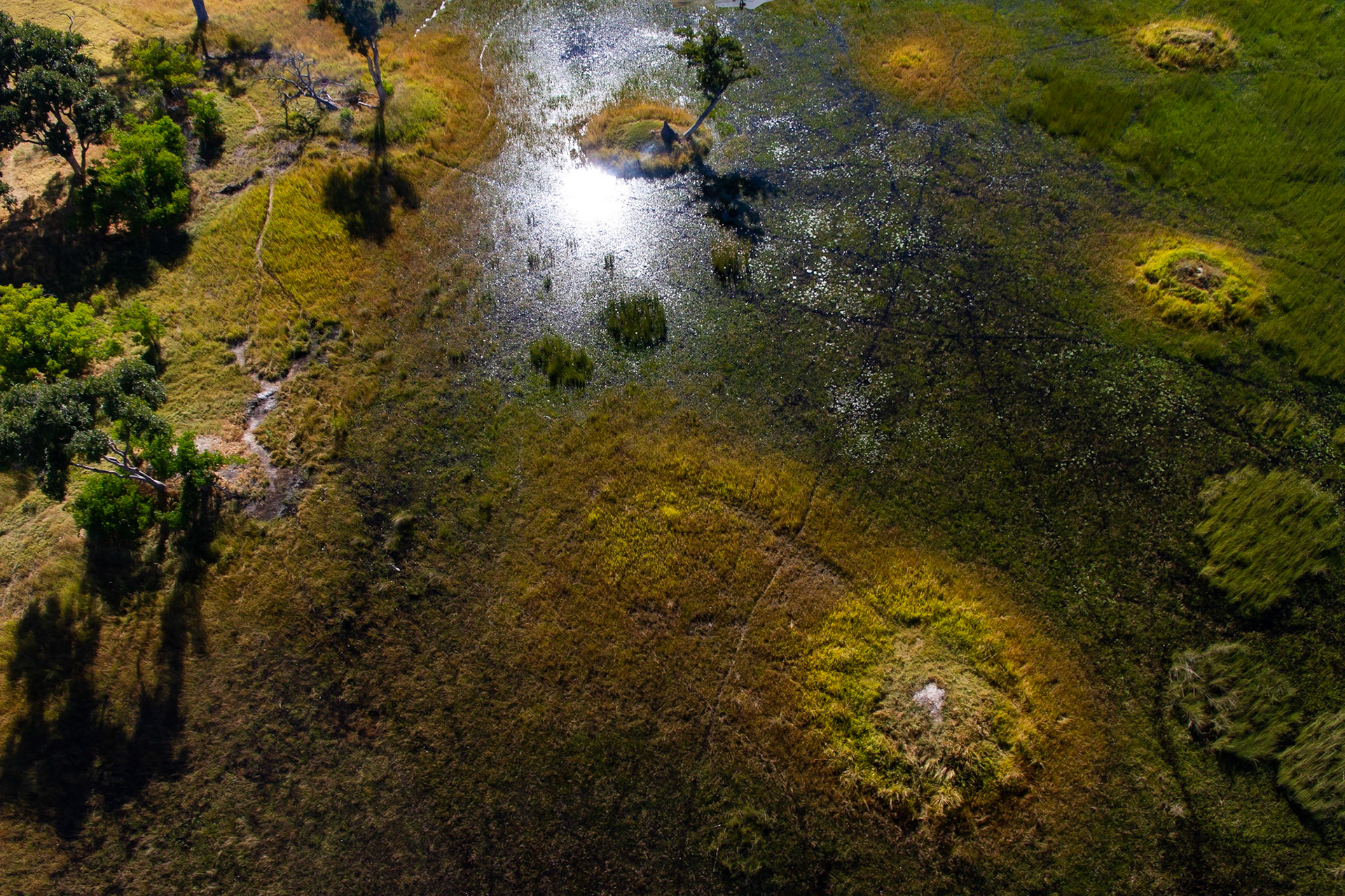 Okavango 