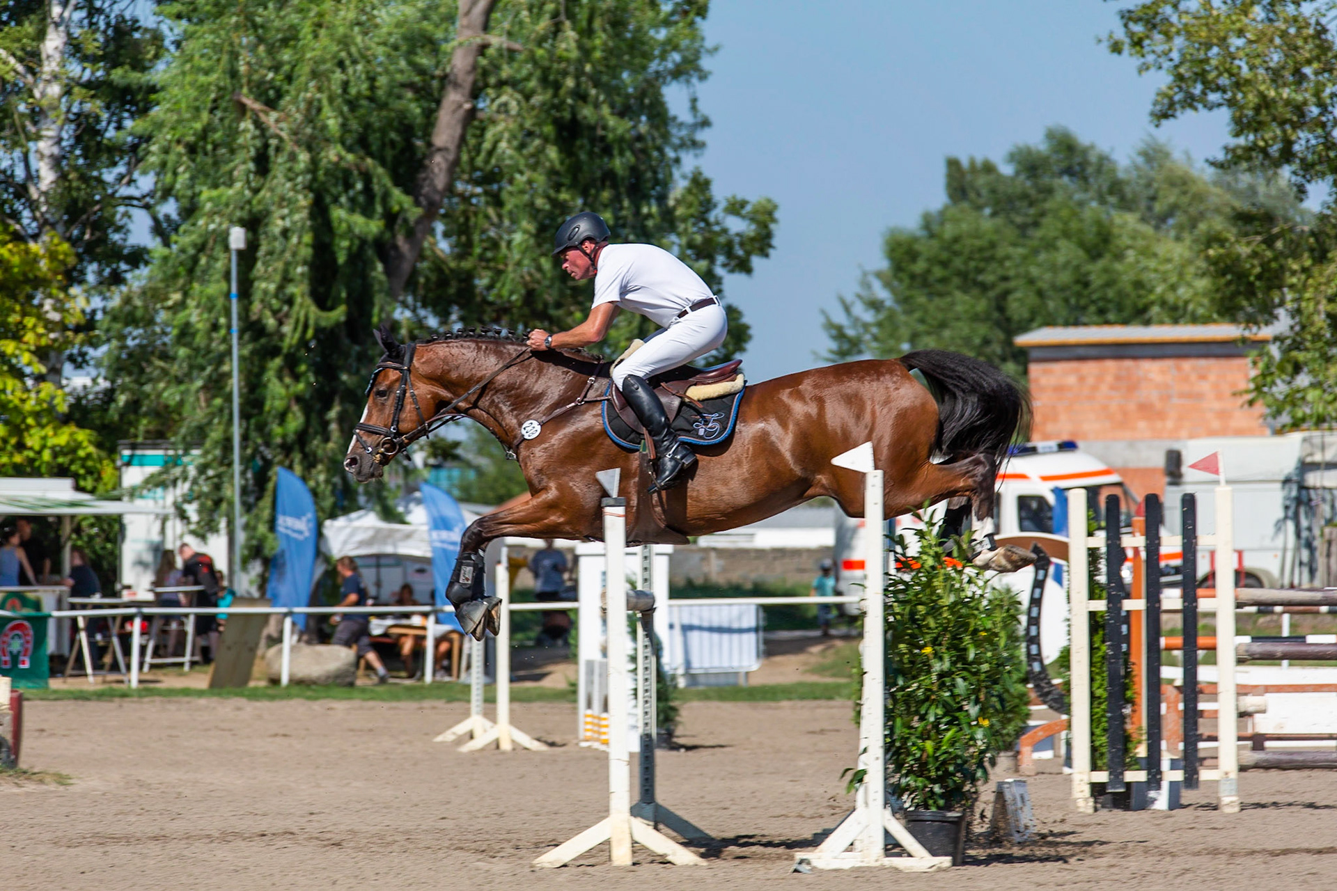 M-Springen RG Bensheim 2015