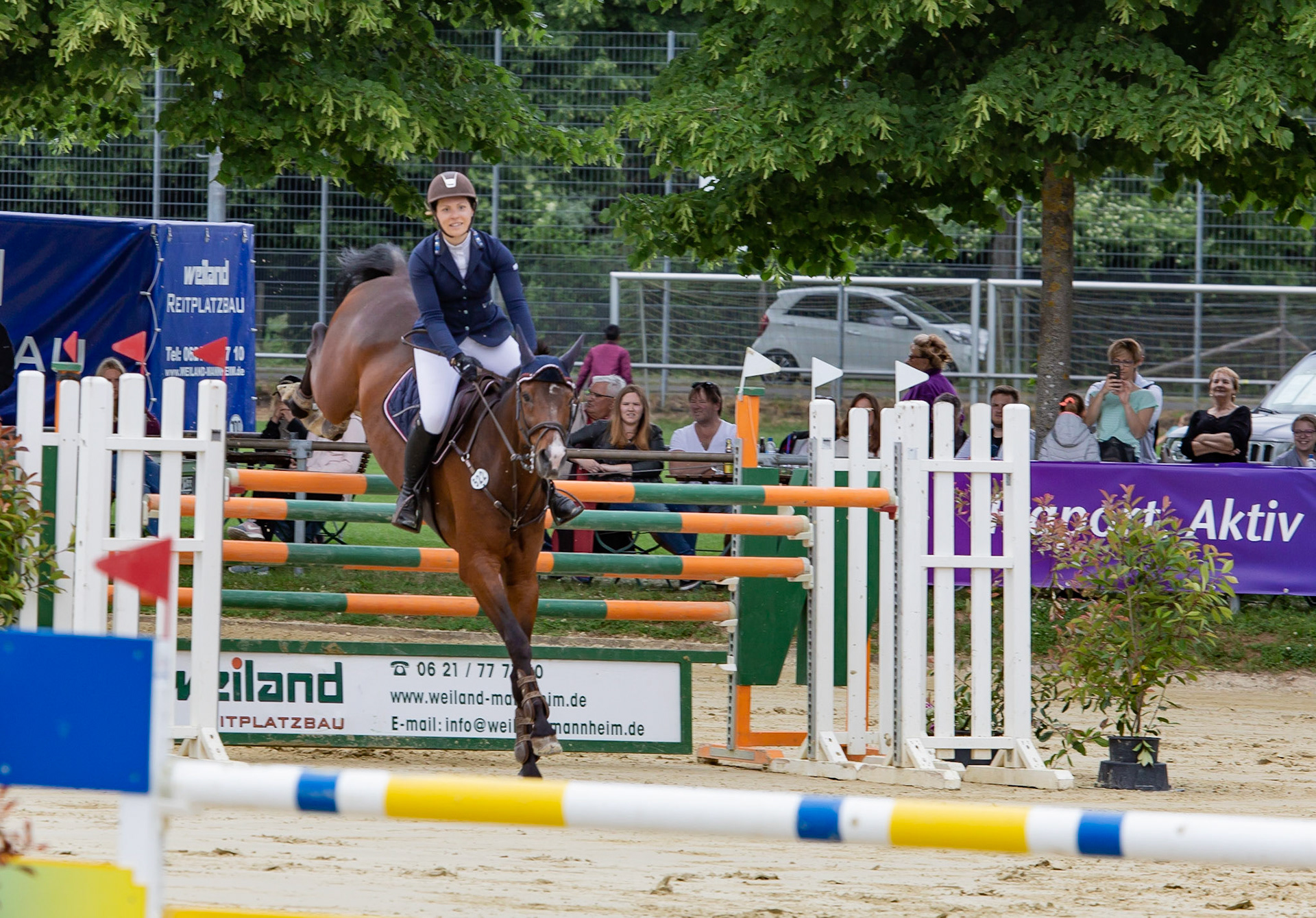 RFV Schwanheim Springen S-Stechen Mai 2018