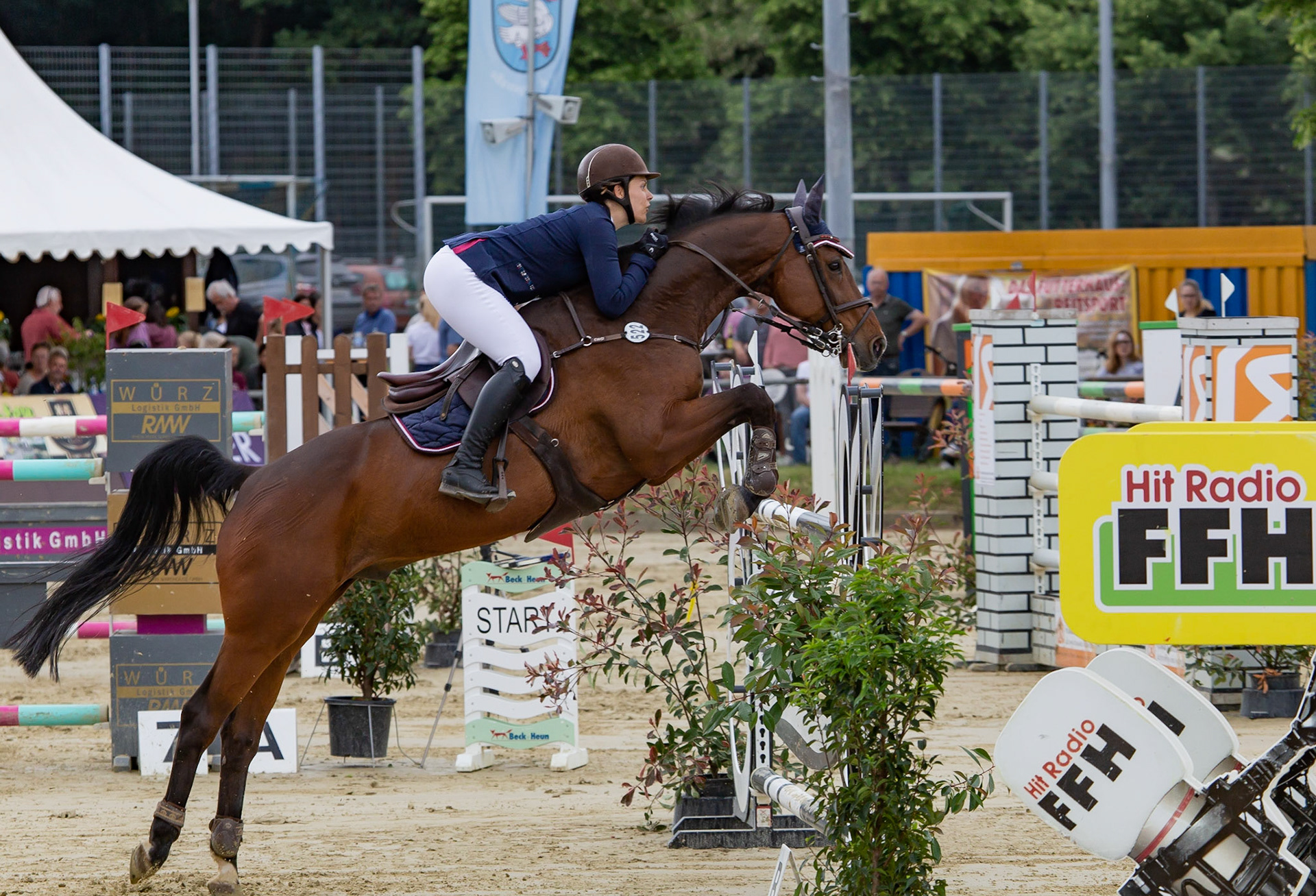 RFV Schwanheim Springen S-Stechen Mai 2018