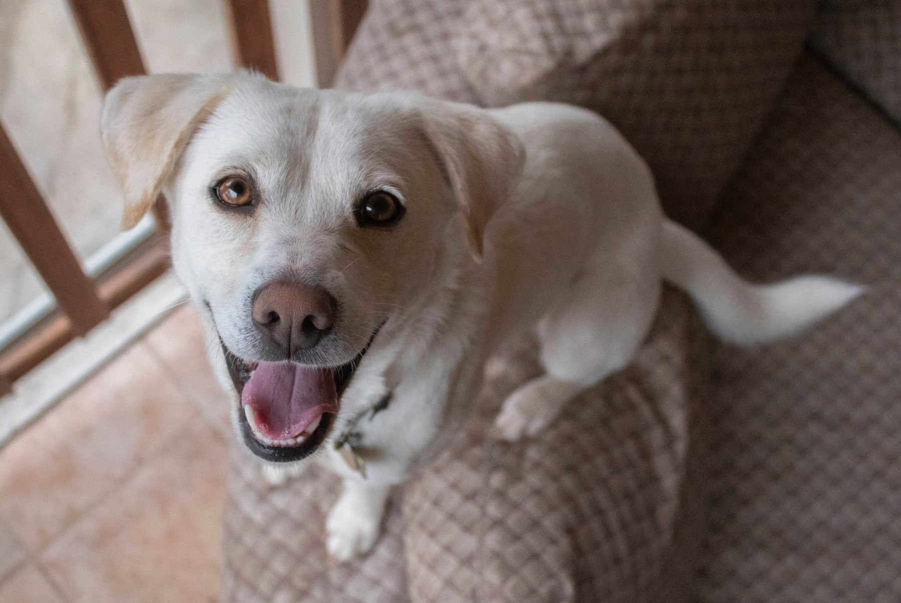 We call it her perch.