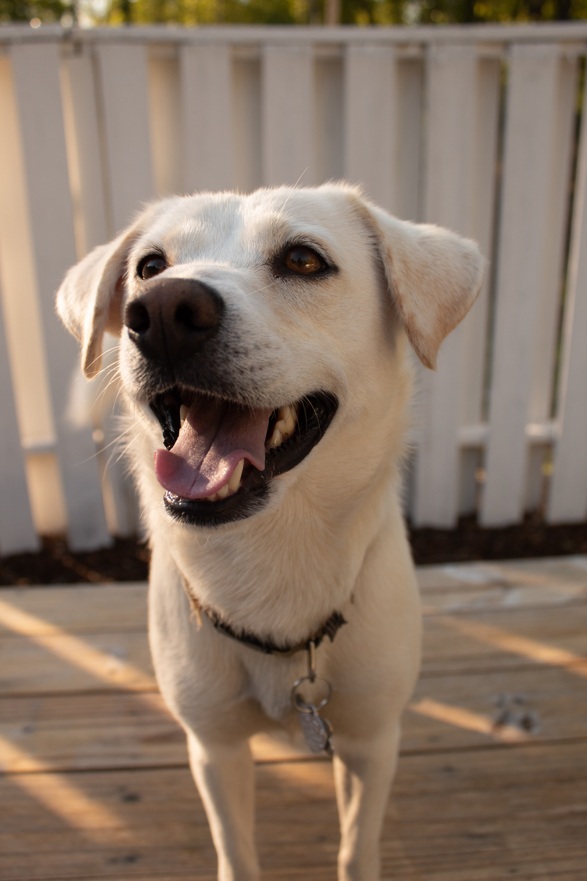 She loves to be the center of attention