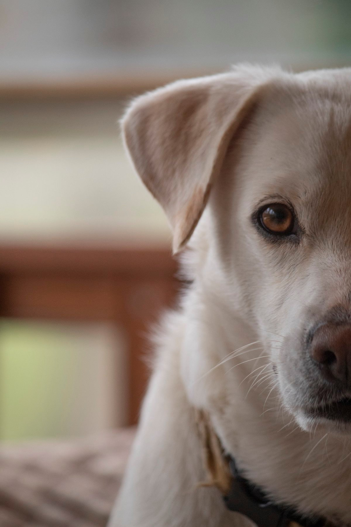 She is a great listener and even though she can't talk back..