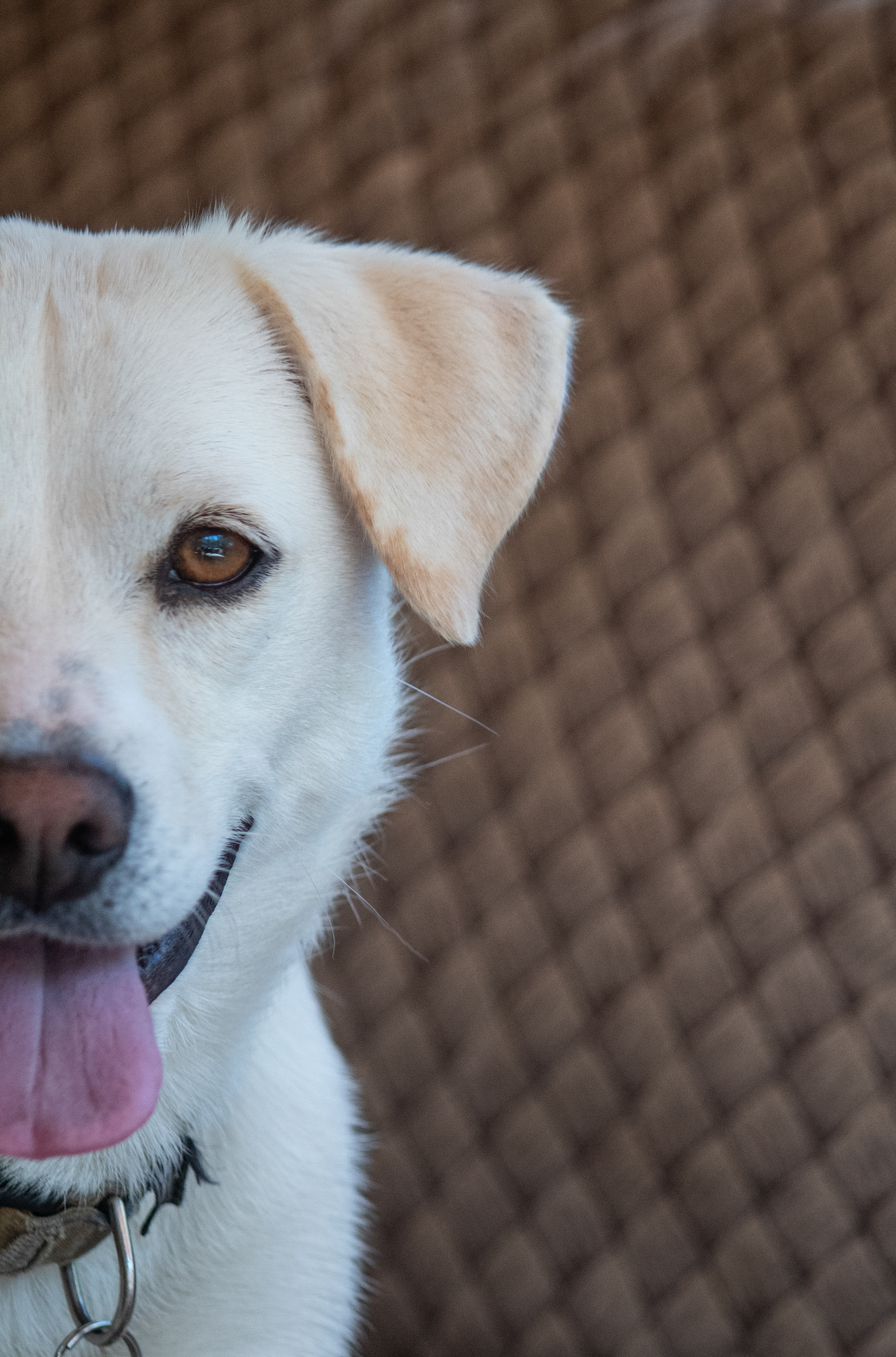 She responds with her expressions.