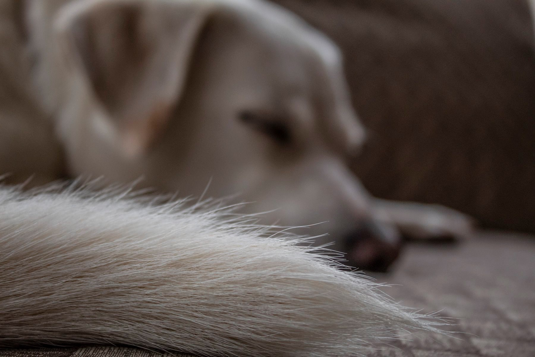 Just as much as she loves taking naps.