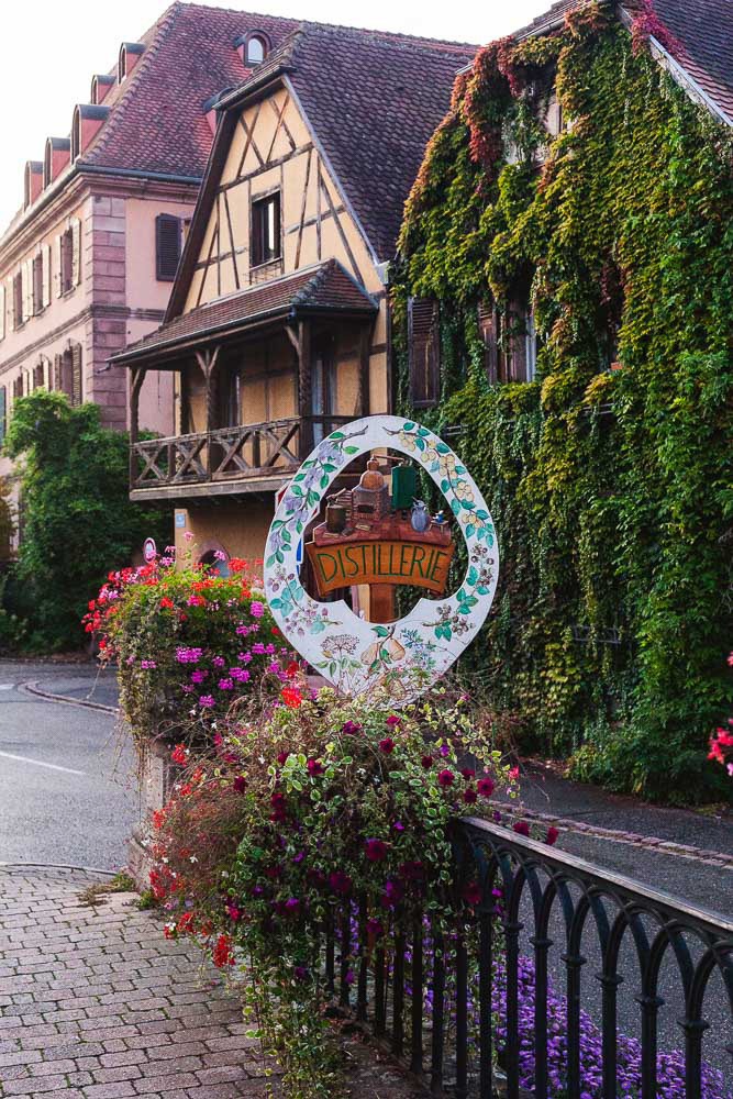 Kirsh distillerie in Bergheim