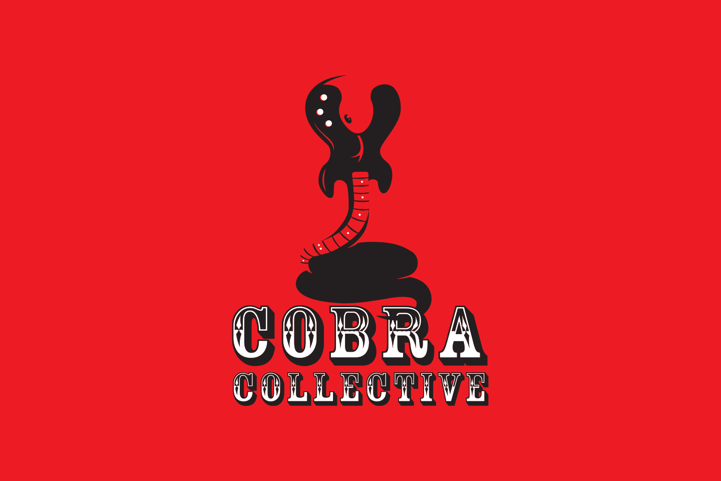 Alternative rock band Cobra Collective