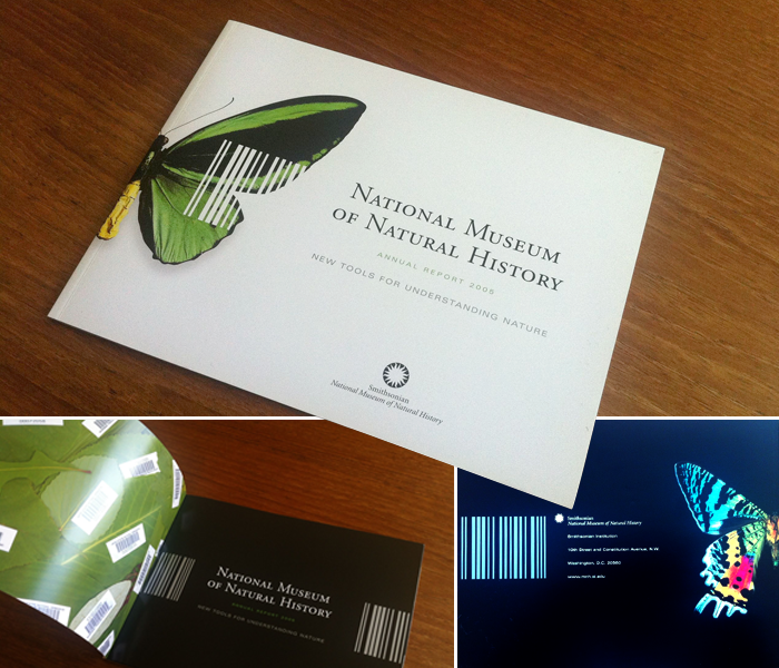 Client: Smithsonian | Project: 2005 Annual Report for the National Museum of Natural History