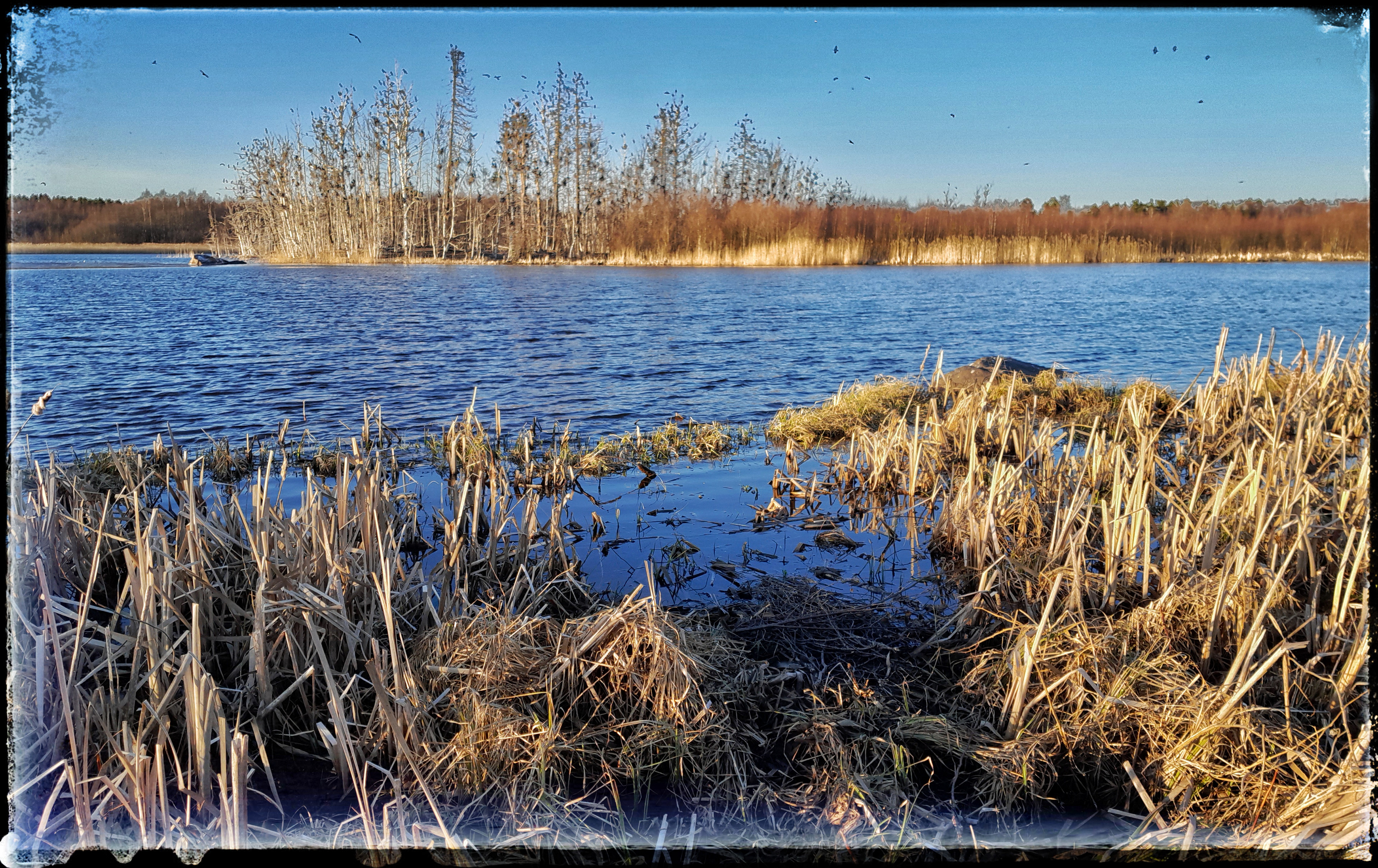 Pori 14.4.2023