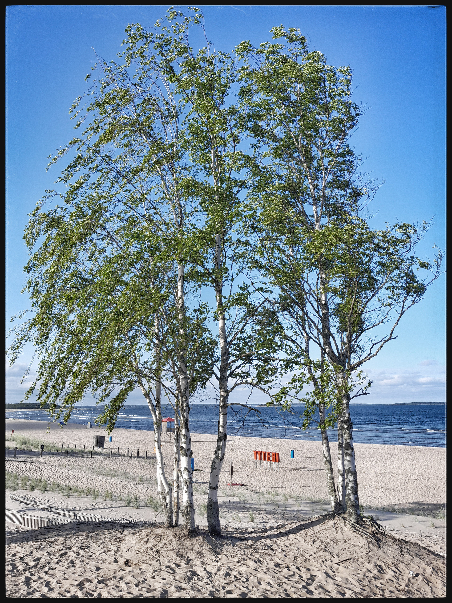 Yyteri 24.6.2023