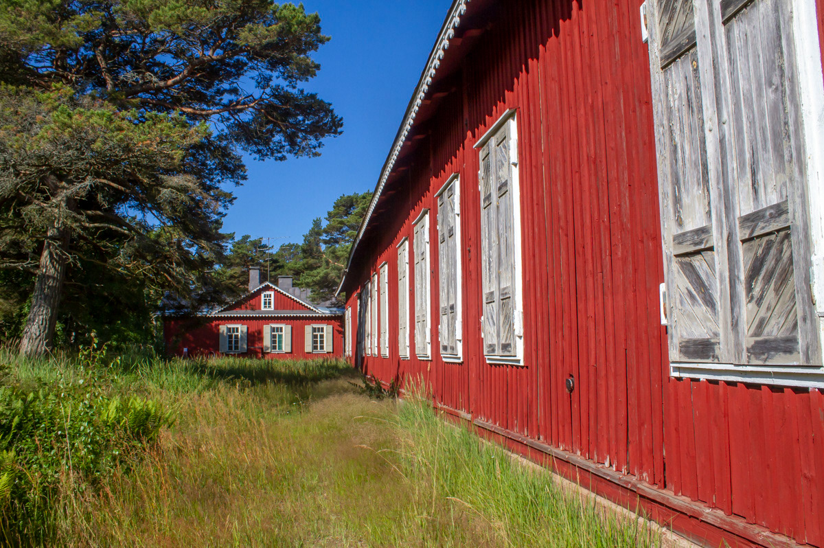 Kuusi tuumaa 30.6.2019