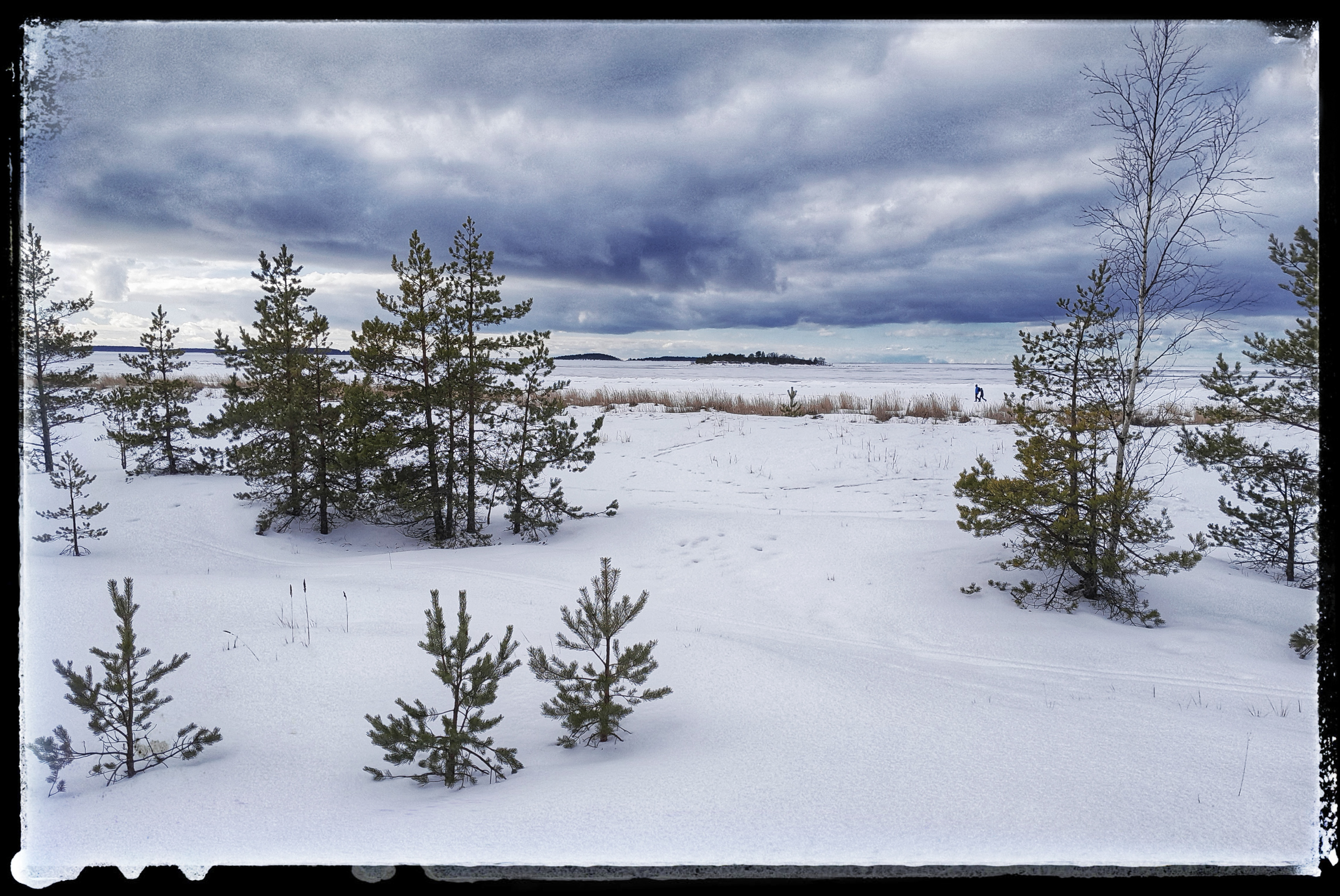 Yyteri 12.3.2023