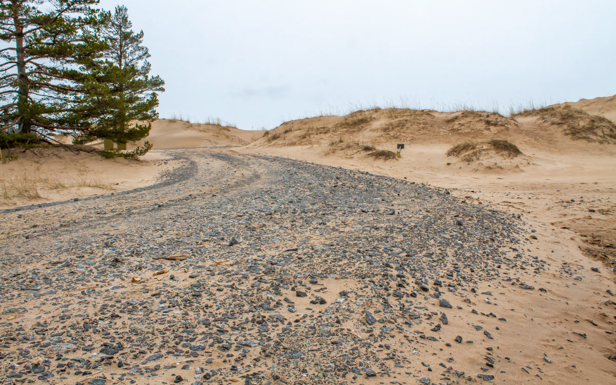 Sepeliä 31.3.2019