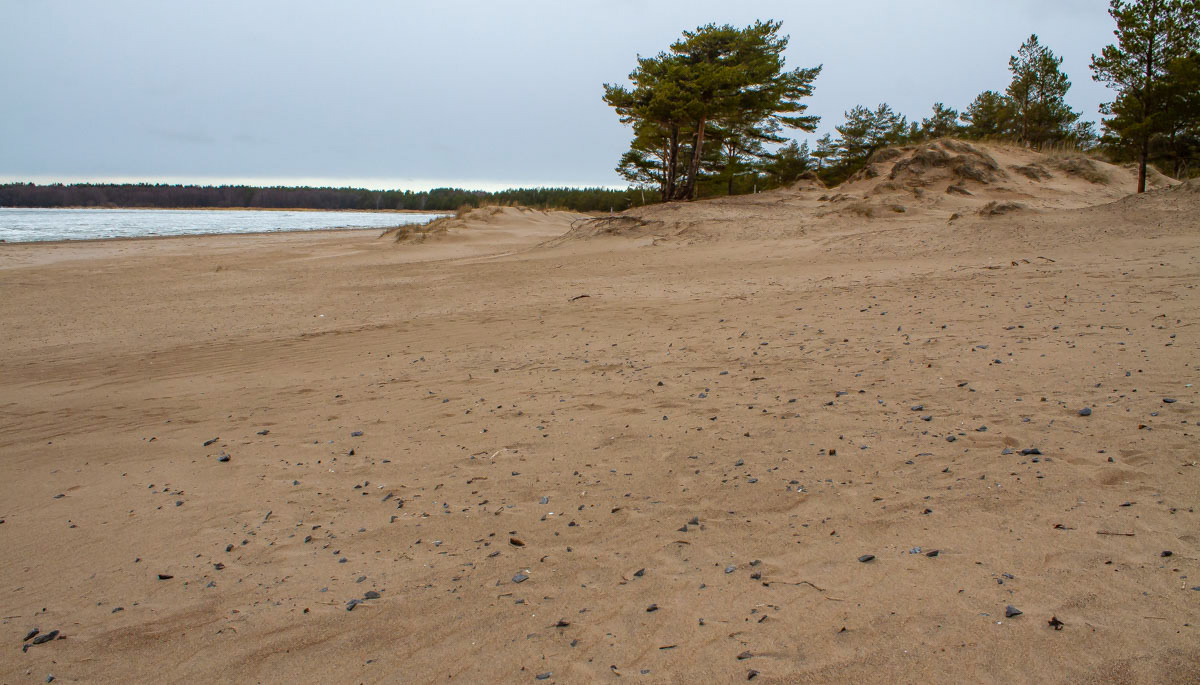 Bikini barin rantadyyniä, sepeliä on runsaasti jo rannan tuntumassa. 31.3.2019