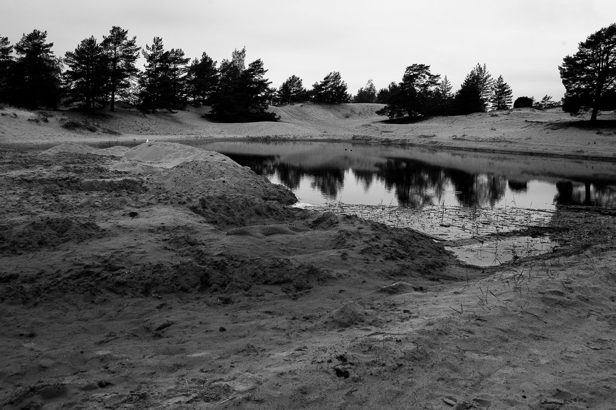 26.5.2019