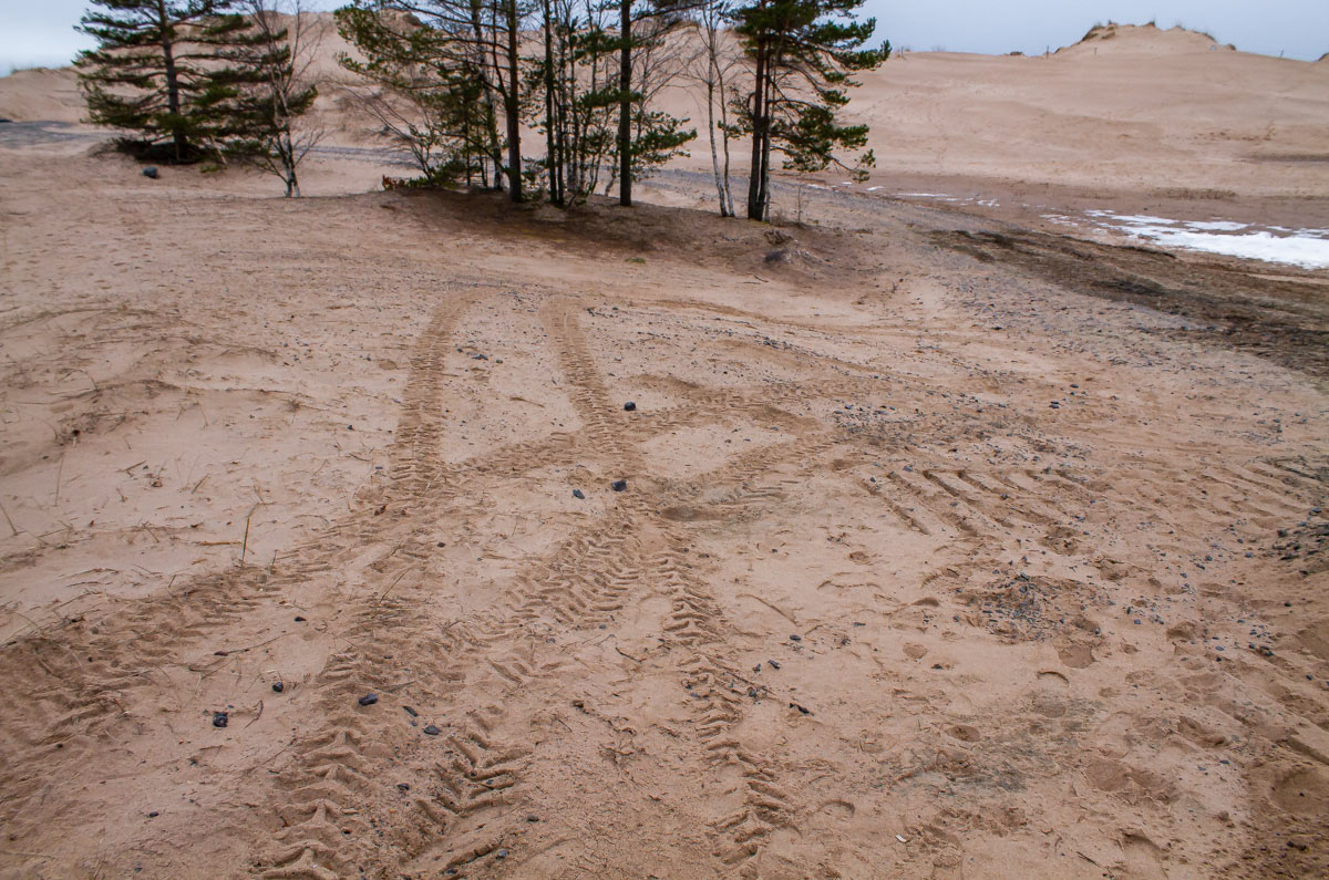 Huoltoreitit leviävä jatkuvasti, tässä taas 20m uutta jälkeä. 31.3.2019
