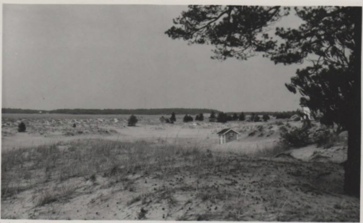 1950 luku