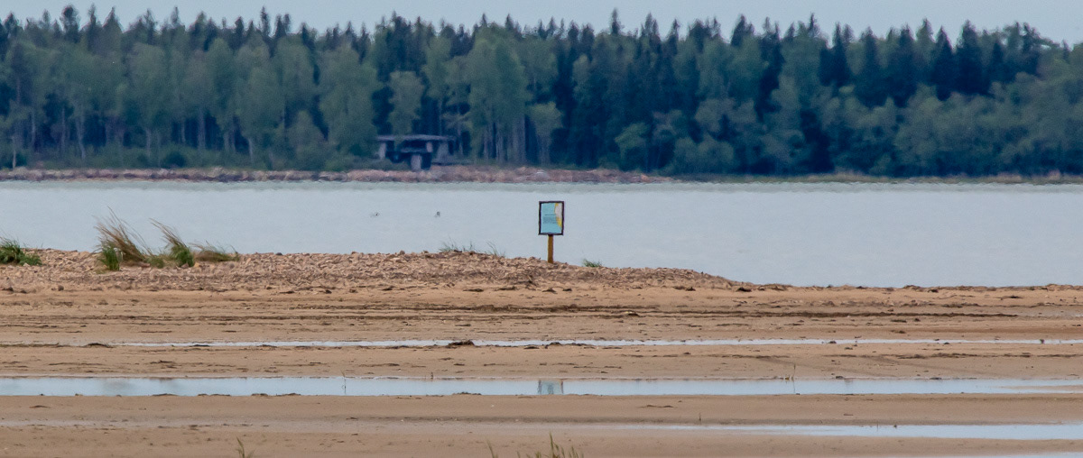 Yyteri 1.6.2019