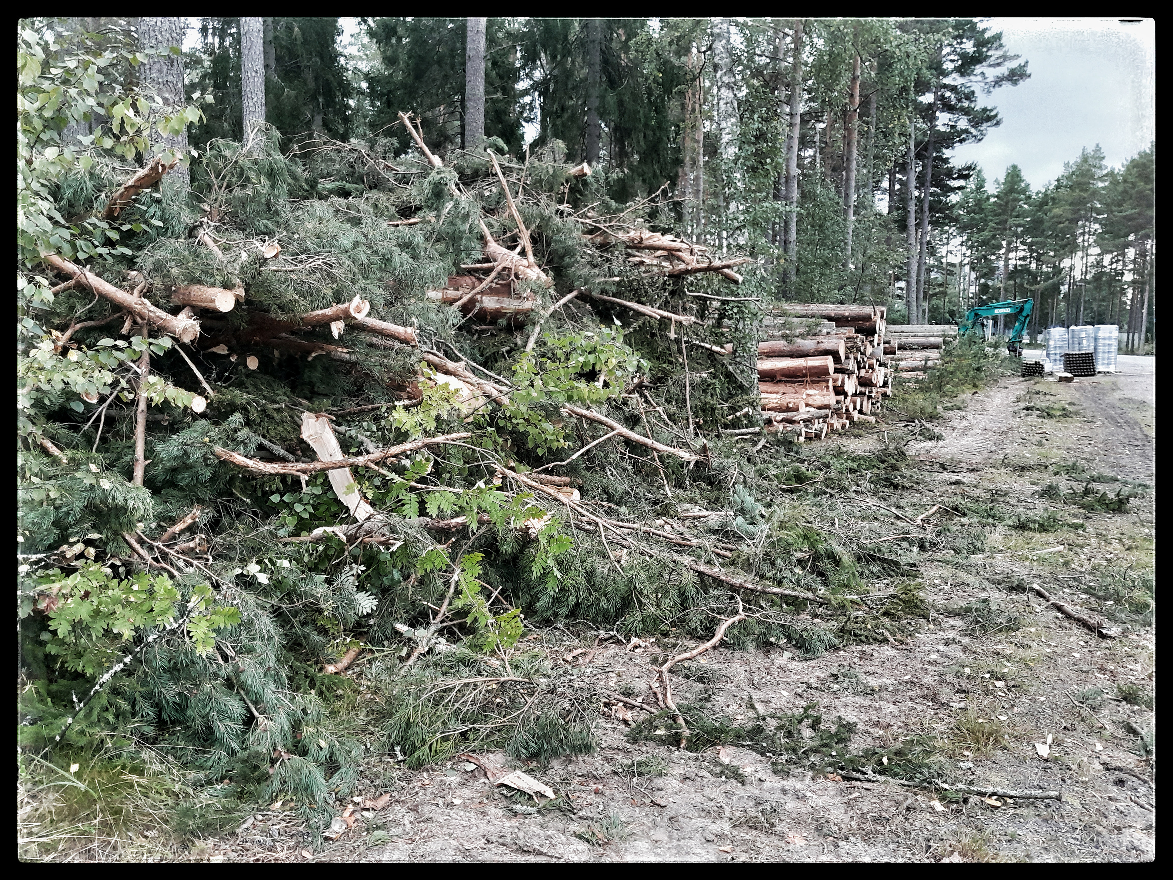 Yyteri 15.9.2023