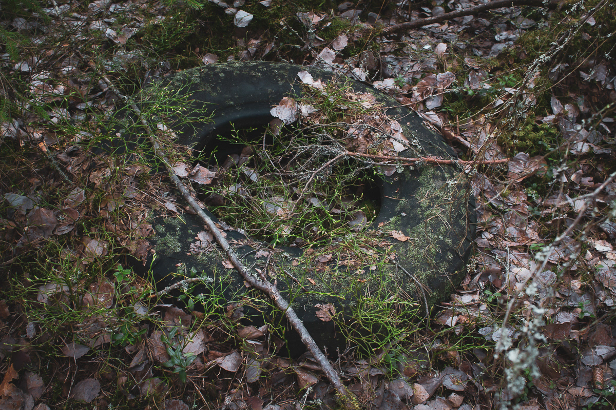 Riitasarka 050520