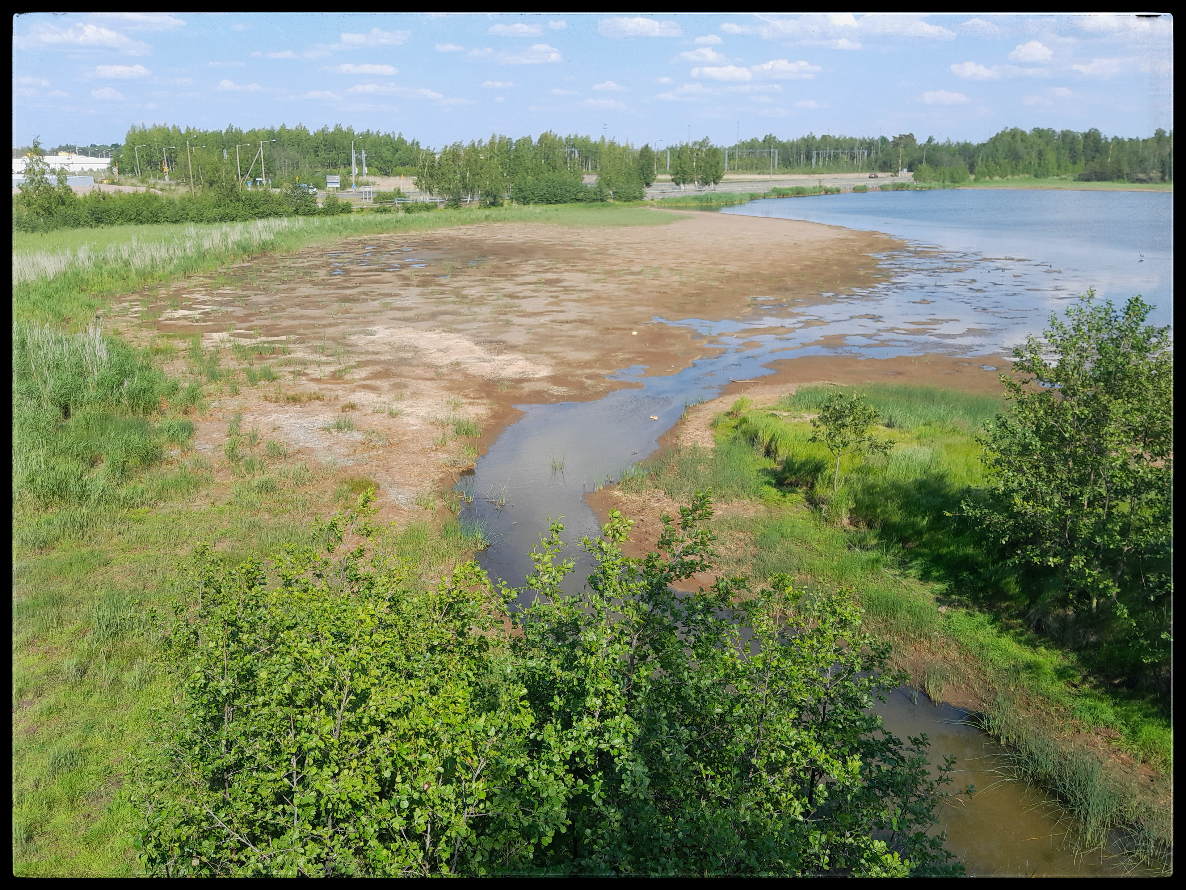 Levon lammikko 16.6.2023