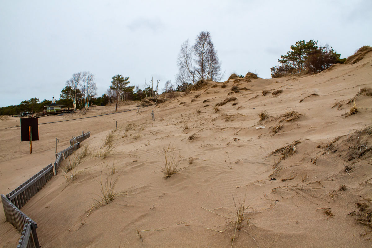 Viime vuoden istutukset tuhottiin tältä paikalta 31.3.2019