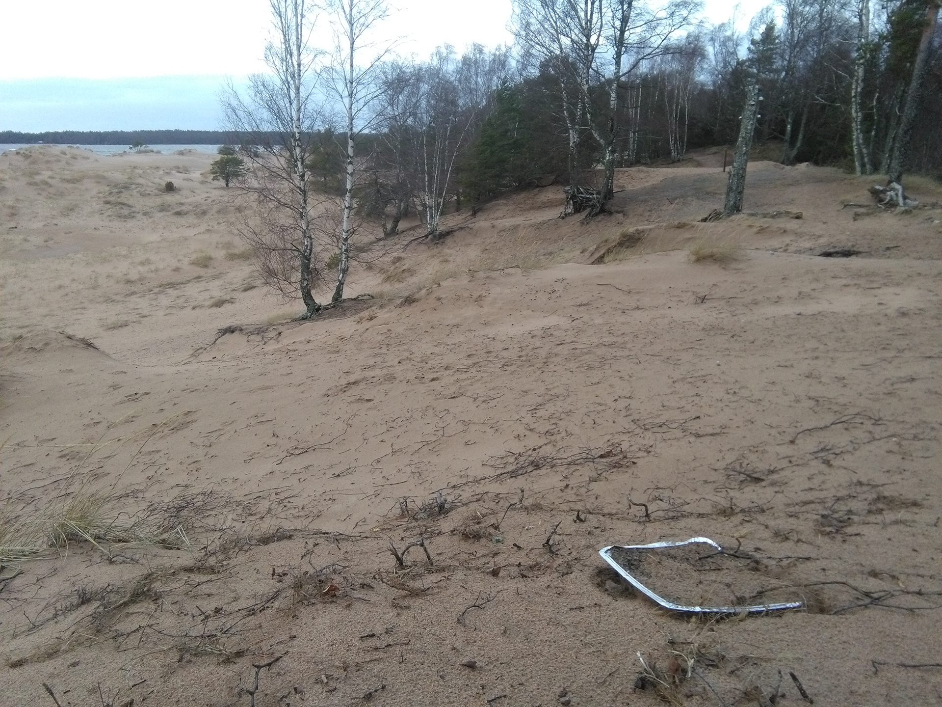 Lumetettu pulkkamäki 150120