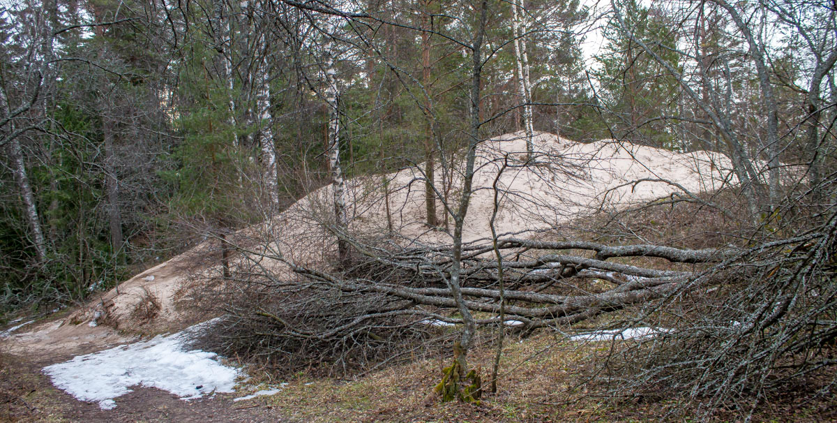 Näkee miten ihmisen kulutus saa aikaan. 4.4.2019