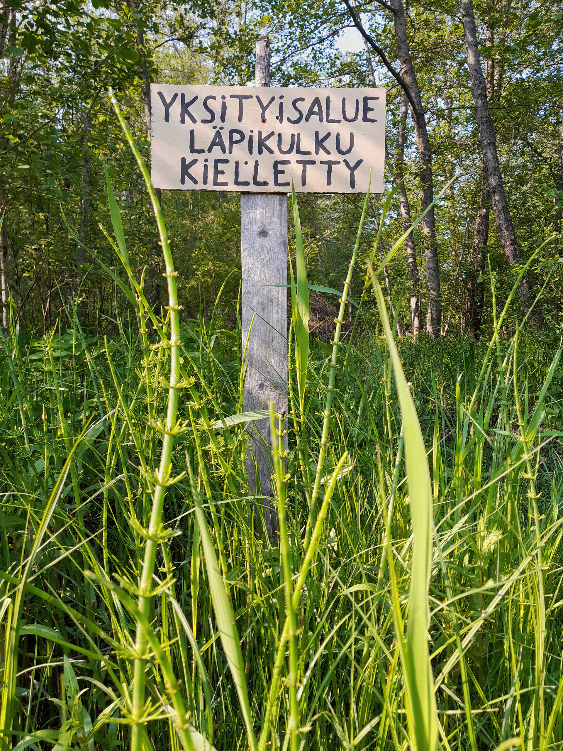 Suisto 14.6.2023