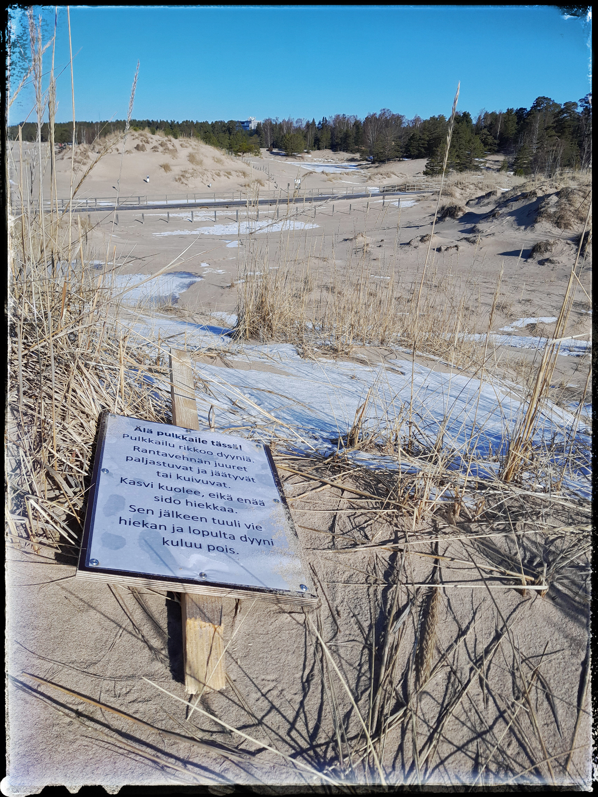 Yyteri 31.3.2023