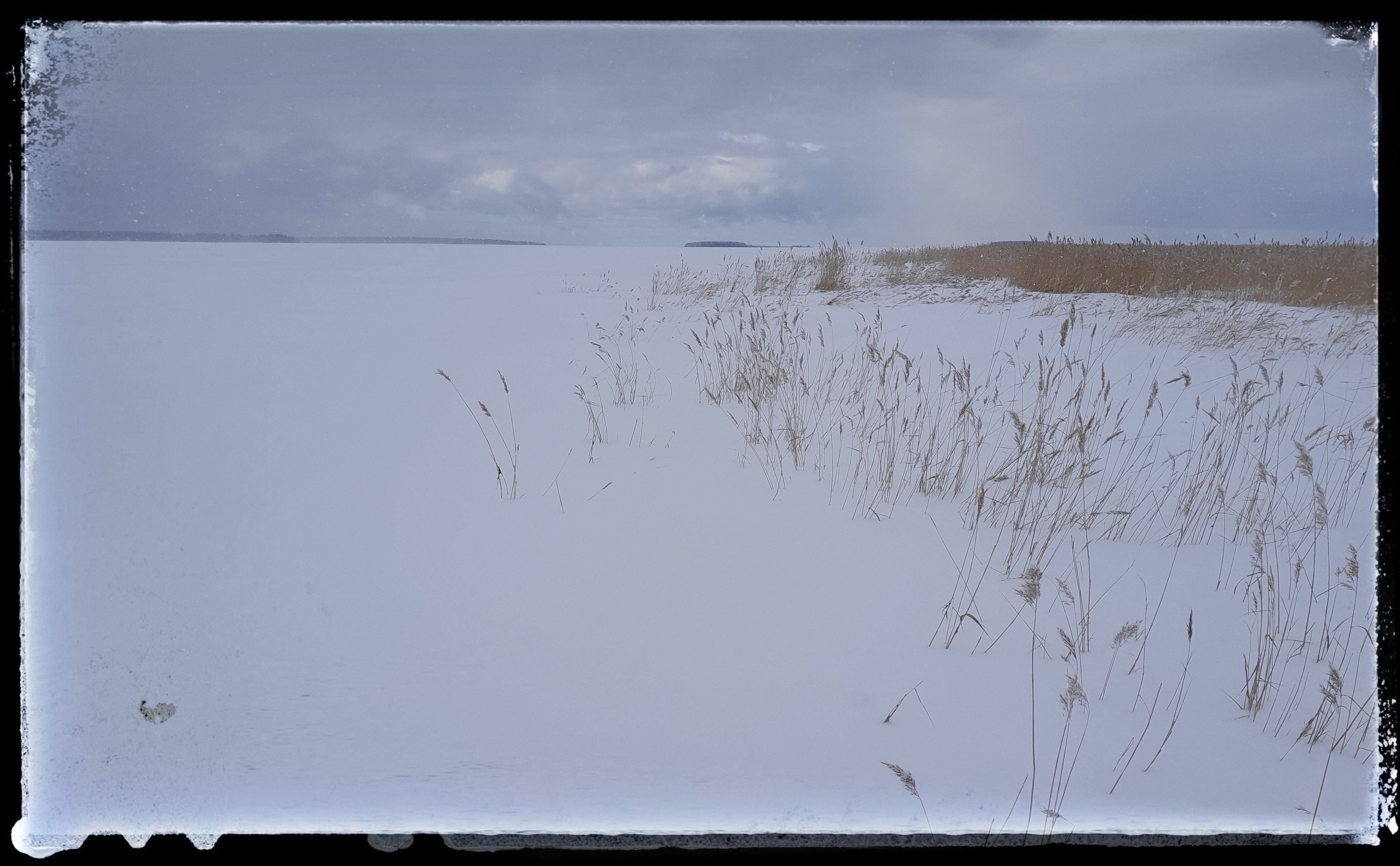 Yyteri 12.3.2023