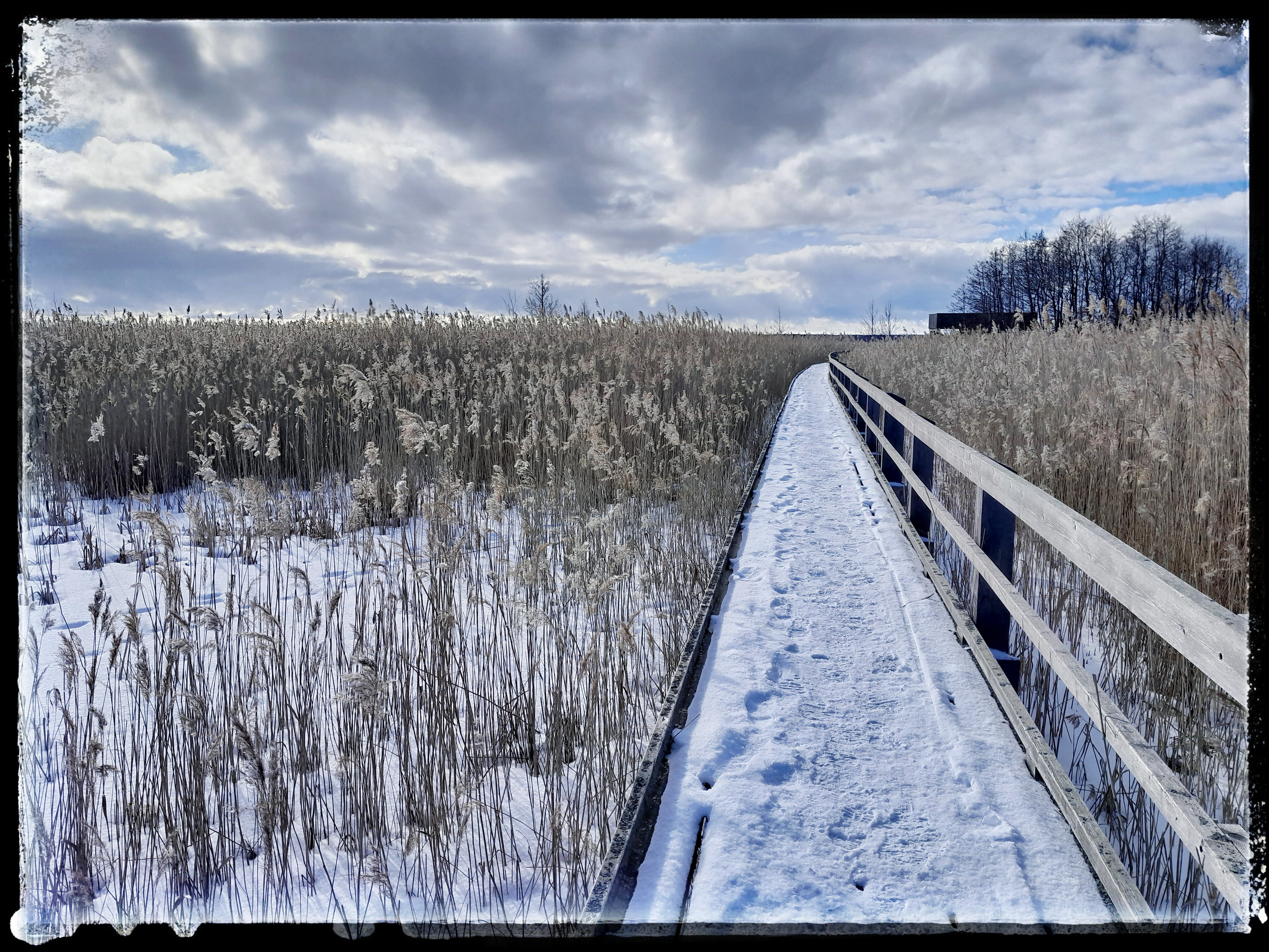 Yyteri 12.3.2023