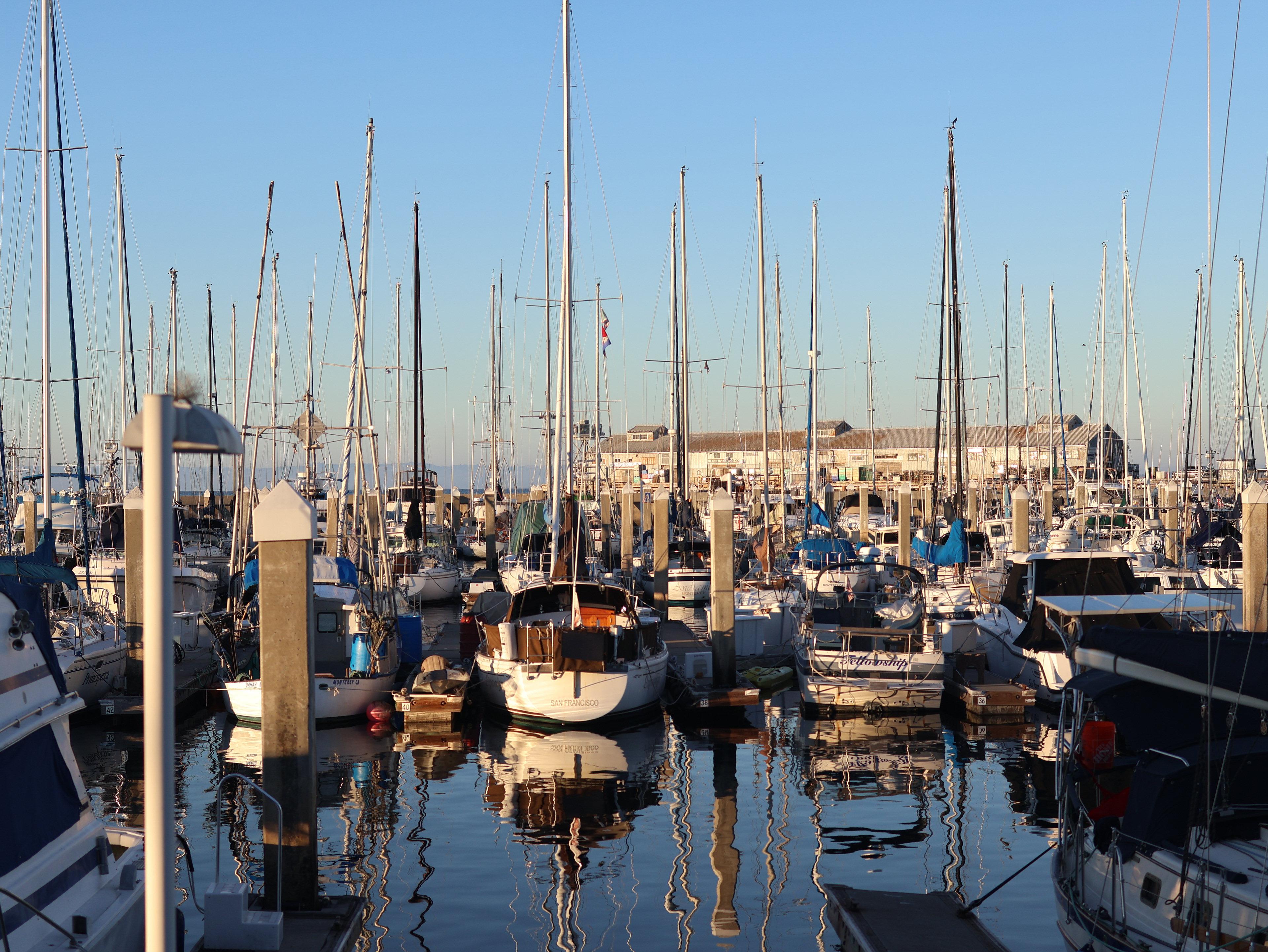 Boats docked at Pier 39, San Francisco