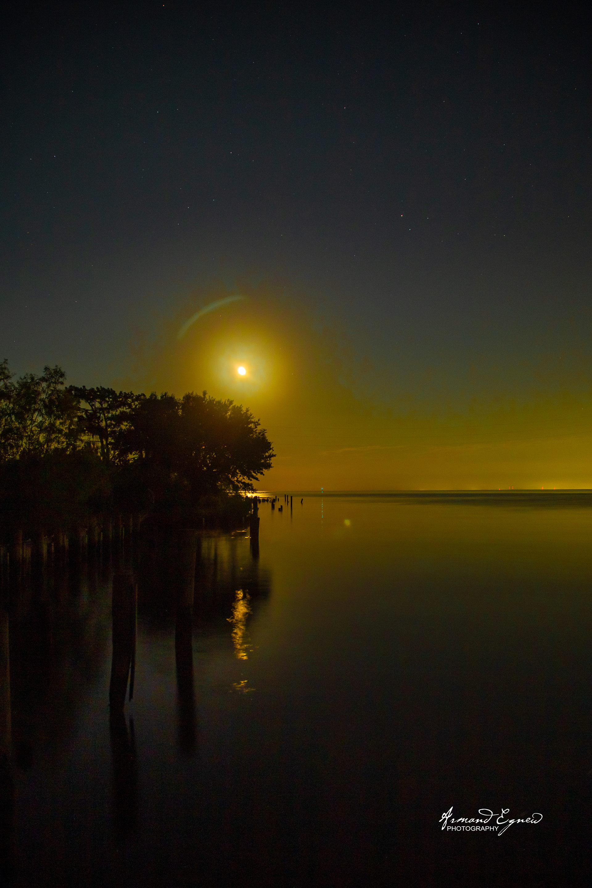 Moon Light Over Ponchartrain