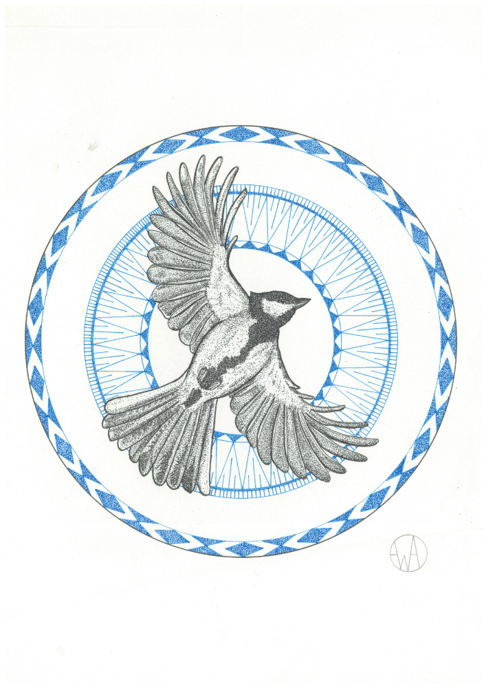 Mésange charbonnière, 21 x 29.7 cm