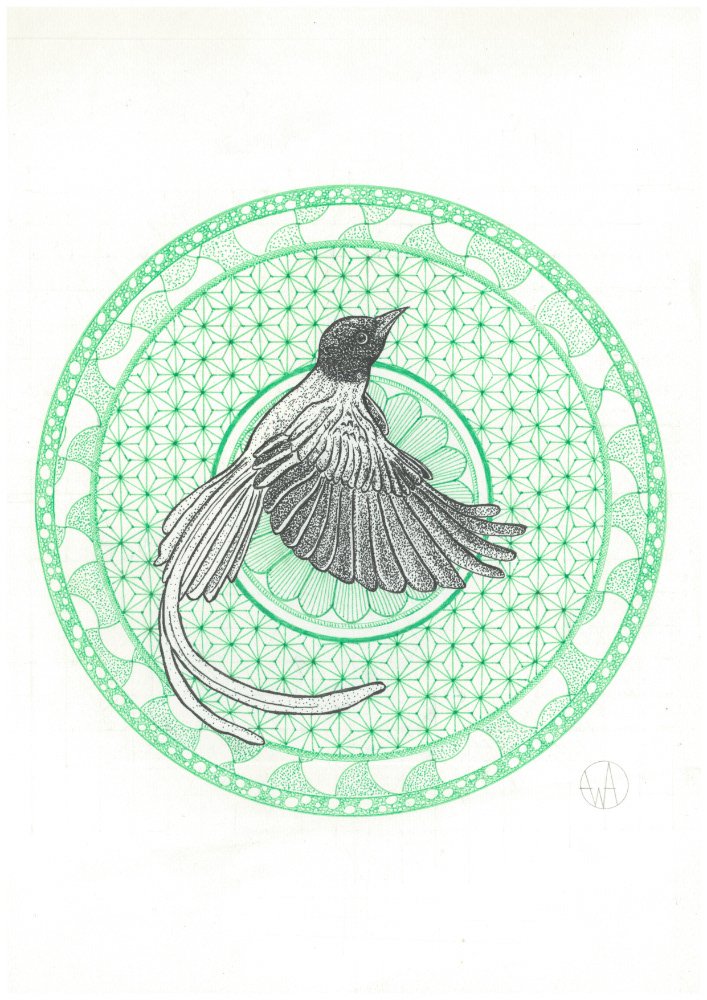 Oiseau de paradis, 21 x 29.7 cm