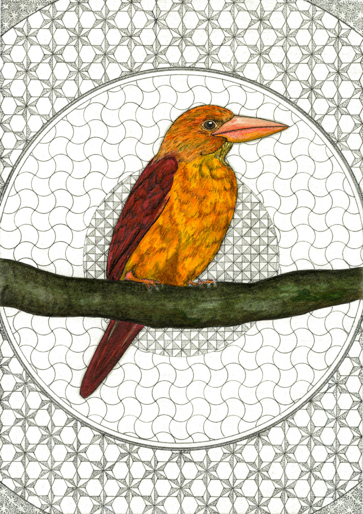 Martin-chasseur violet, 21 x 29.7 cm